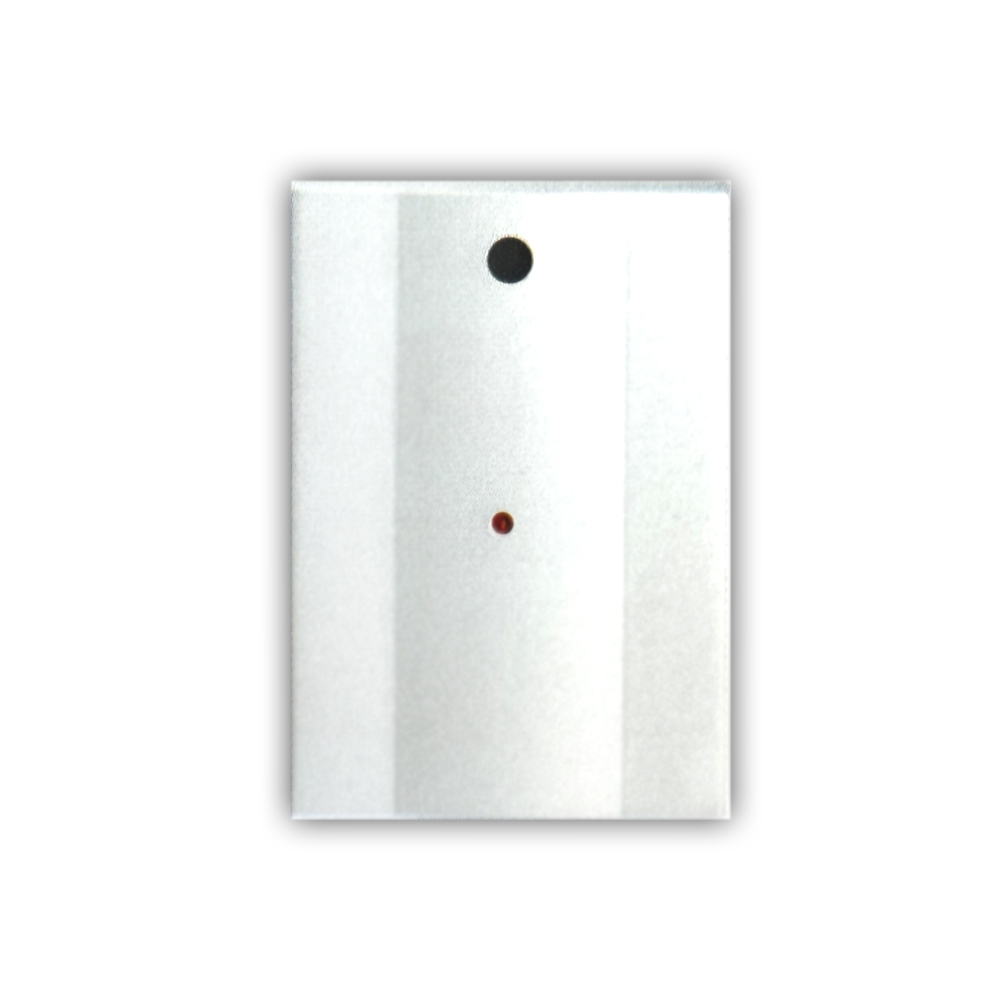 Daitem D26 - Funk-Glasbruchmelder - akustisch - 260-21D